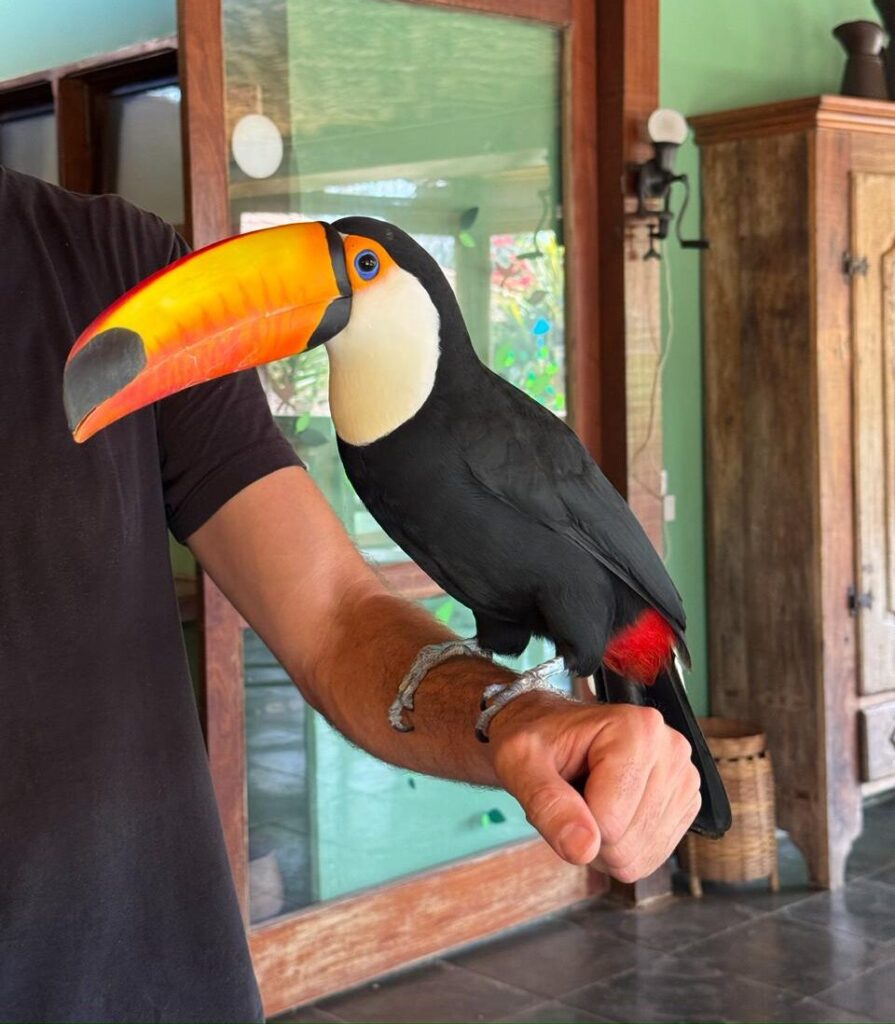 Pousada Fazenda Paraíso dos Pavões - Esmeraldas/MG